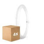 Lot 4x Osram Tube LED T9 Circulaire (EM/Direct 230V) 18.3W 2200lm - 840 Blanc Froid | Équivalent 32W