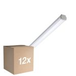 Lot 12x Philips Réglette LED Étanche WT060C 30W 3600lm - 865 Lumière Du Jour | 120cm