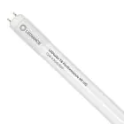 Ledvance Tube LED T8 Performance (HF) Ultra Output 15W 2400lm - 840 Blanc Froid | 120cm - Équivalent 36W