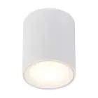 Nordlux Plafond Spot Fallon Métal Blanc 5.5W 500lm - 827 Blanc Très Chaud | IP20 - 3 Niveaux De Gradation Dimmable
