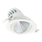 Philips Spot LED LuxSpace Accent Performance RS781B 29.5W 3850lm 36D - 830 Blanc Chaud | 170mm - Dali Dimmable